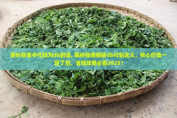茶叶标准中代码为db的是