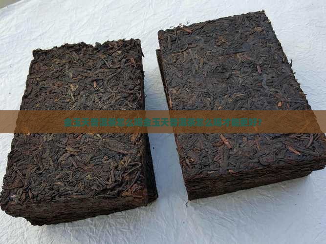 金玉天普洱茶怎么喝