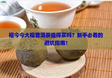 福今今大福普洱茶推荐
