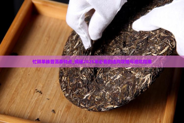 忙肺单株普洱茶特点