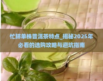 忙肺单株普洱茶特点
