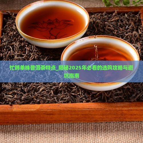 忙肺单株普洱茶特点
