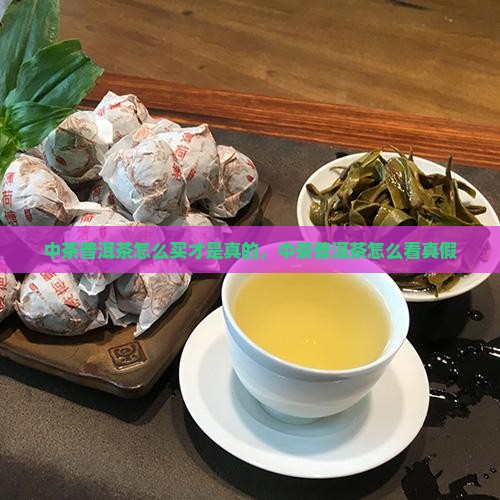中茶普洱茶怎么买才是真的