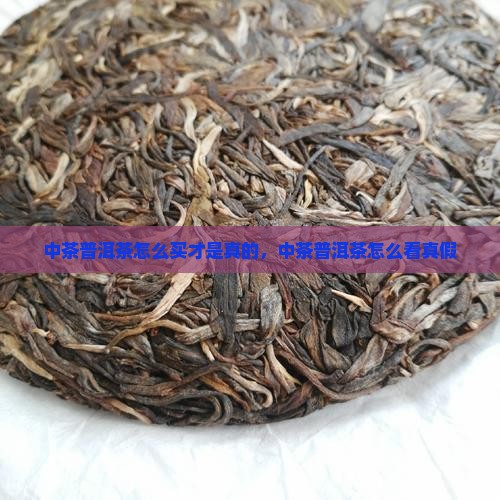 中茶普洱茶怎么买才是真的