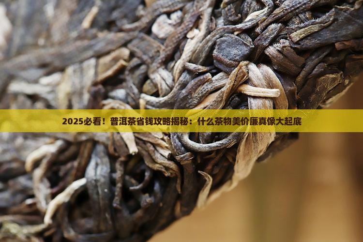 什么普洱茶物美价廉 什么普洱茶物美价廉