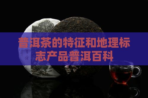 普洱茶的特征和