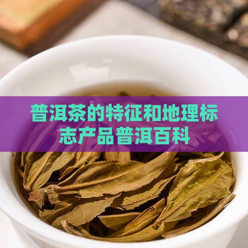 普洱茶的特征和