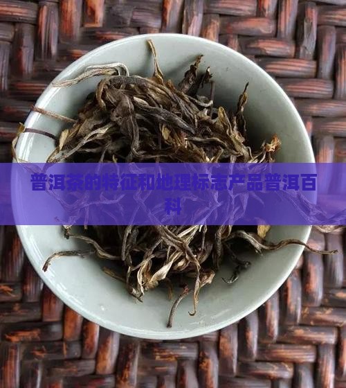 普洱茶的特征和