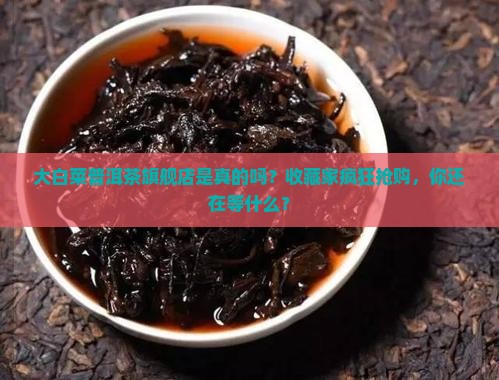 大白菜普洱茶旗舰店是真的吗 大白菜普洱茶旗舰店是真的吗