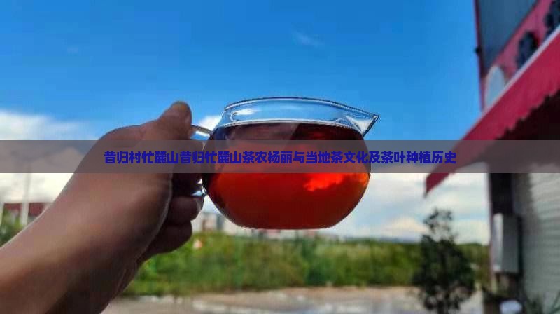 昔归村忙麓山昔归忙麓山茶农杨丽