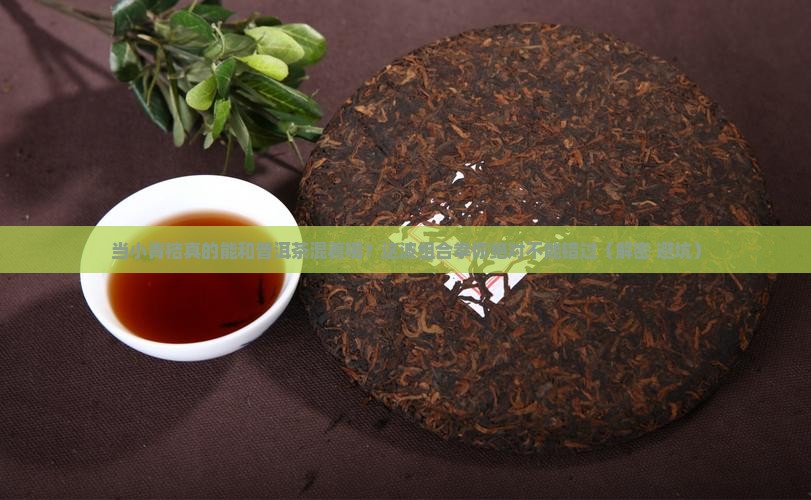 当小青桔遇上普洱茶