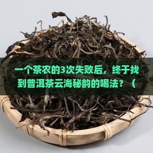 水之言普洱茶云海秘韵系列