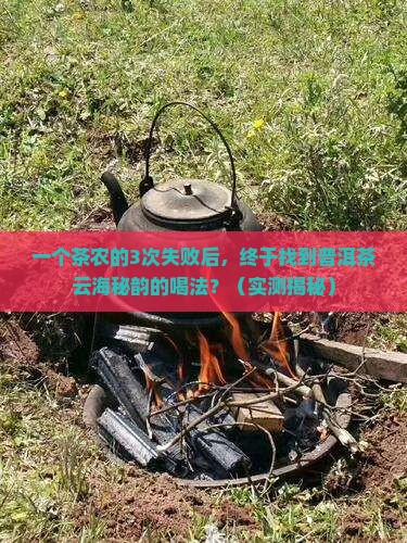 水之言普洱茶云海秘韵系列