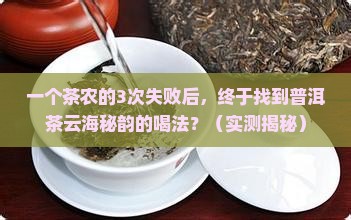 水之言普洱茶云海秘韵系列