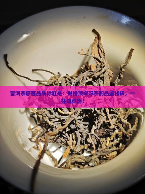 普洱茶感官品质标准是