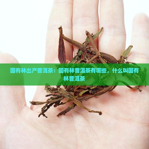 国有林出产普洱茶