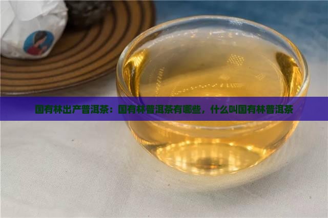 国有林出产普洱茶