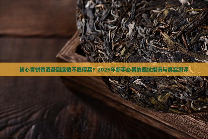 初心青饼普洱茶怎么样