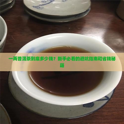 普洱茶一两价格
