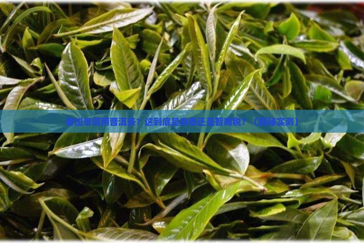 老班章御用普洱茶
