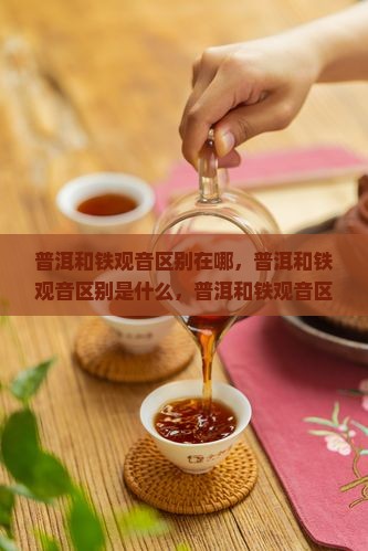 普洱和铁观音区别