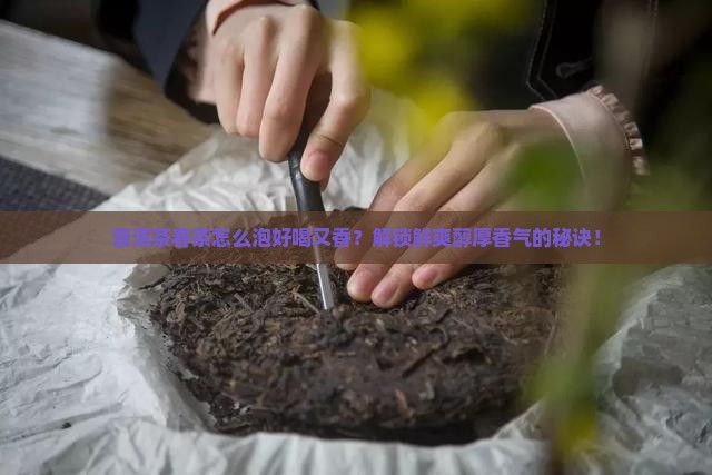 普洱茶春茶怎么泡好喝又香