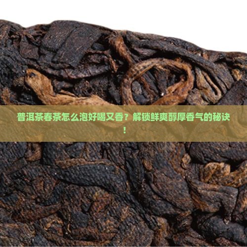 普洱茶春茶怎么泡好喝又香