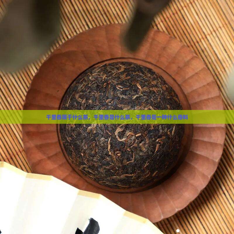 千里香属于什么茶