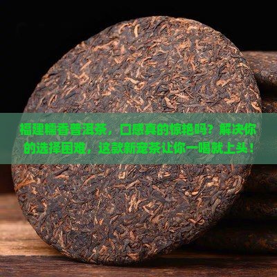 福建糯香普洱茶