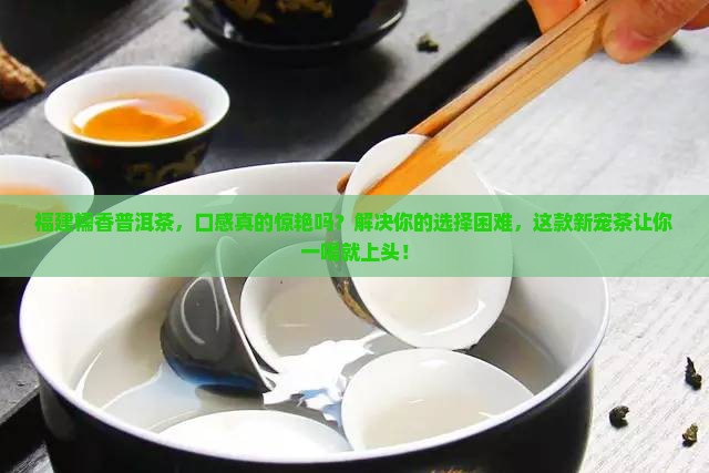 福建糯香普洱茶