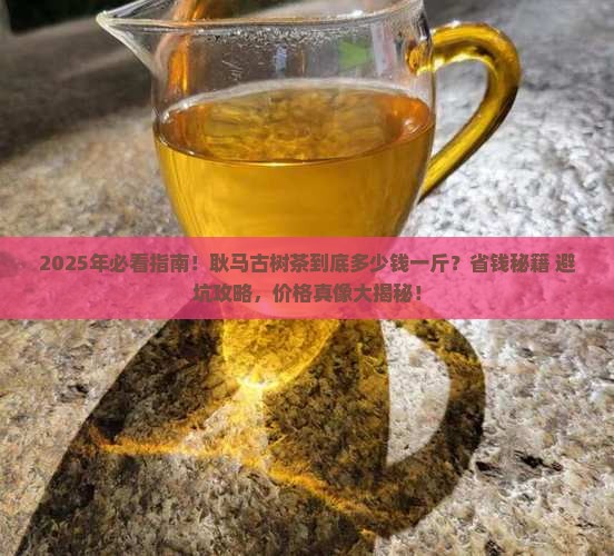 耿马古树茶多少一斤