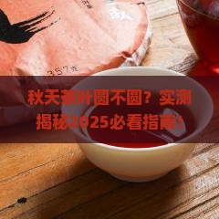 茶叶圆圆是秋天对吗