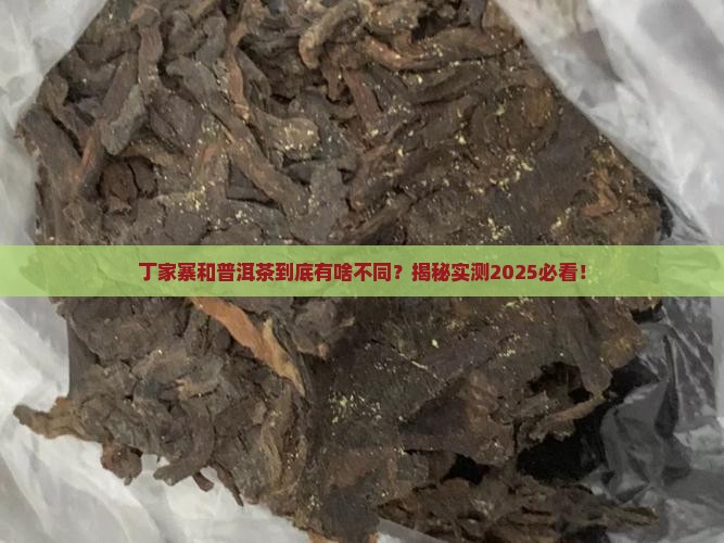 丁家寨和普洱茶的区别