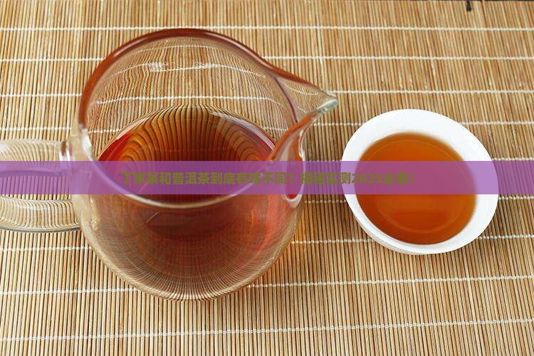 丁家寨和普洱茶的区别