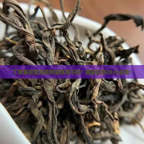 丁家寨和普洱茶的区别