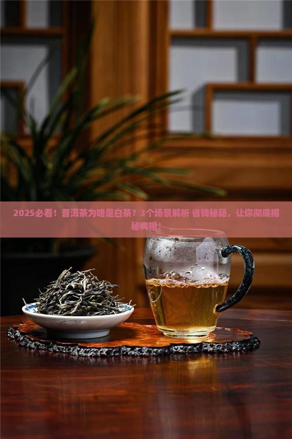 普洱茶为什么是白茶