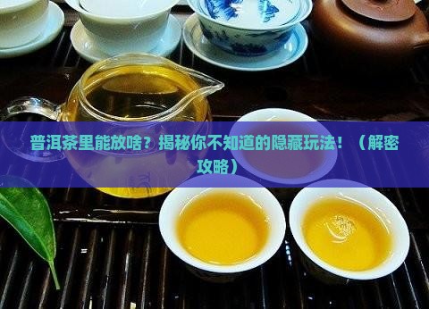 普洱茶里面可以放什么意思