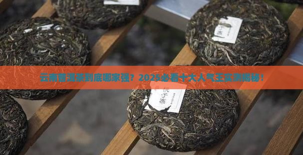 云南最受欢迎的十大普洱茶
