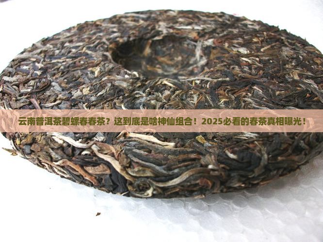 云南普洱茶碧螺春春茶