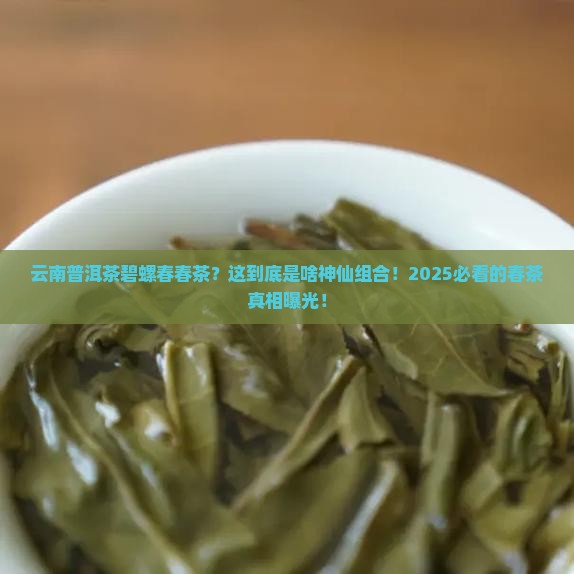 云南普洱茶碧螺春春茶