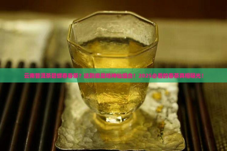 云南普洱茶碧螺春春茶