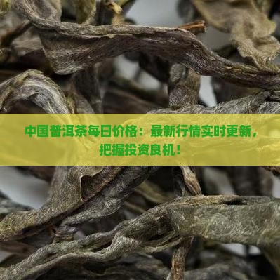 中国普洱茶每日价格