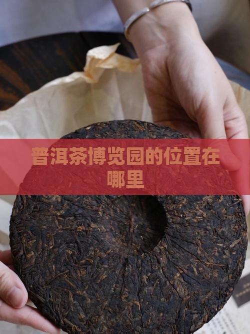 普洱茶博览园的位置