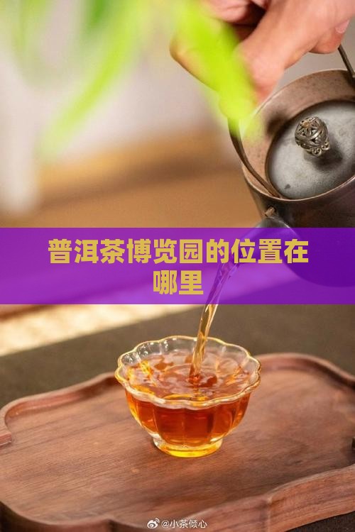 普洱茶博览园的位置