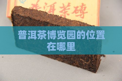 普洱茶博览园的位置