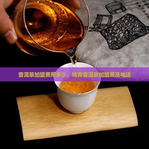 鸣青普洱茶加盟