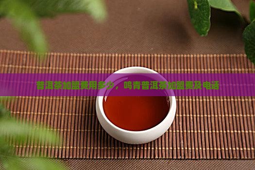 鸣青普洱茶加盟