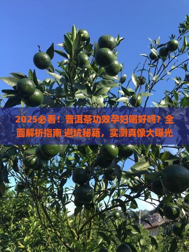 普洱茶功效孕妇喝好吗