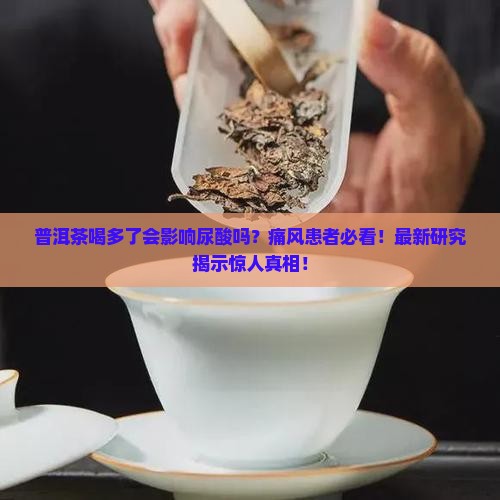 普洱茶喝多了会影响尿酸吗