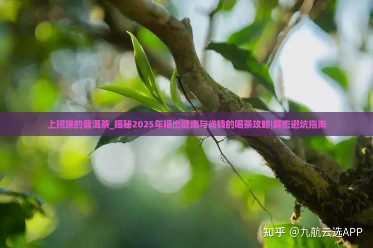 上班族的普洱茶